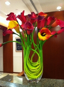 Calla Lily Corporate display