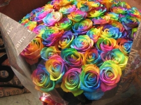 rainbow preserved rose hat box